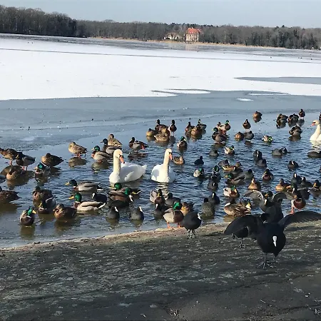 Apartment Klein App In Alt - Tegel