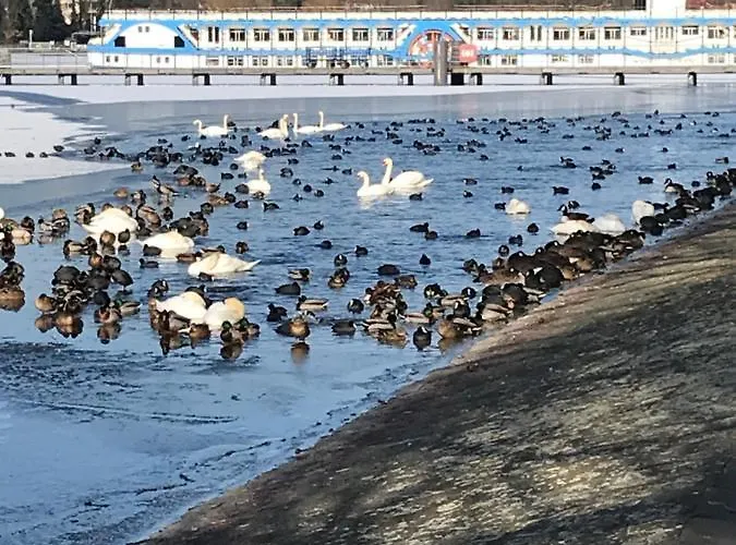 Apartment Klein App In Alt - Tegel Berlin