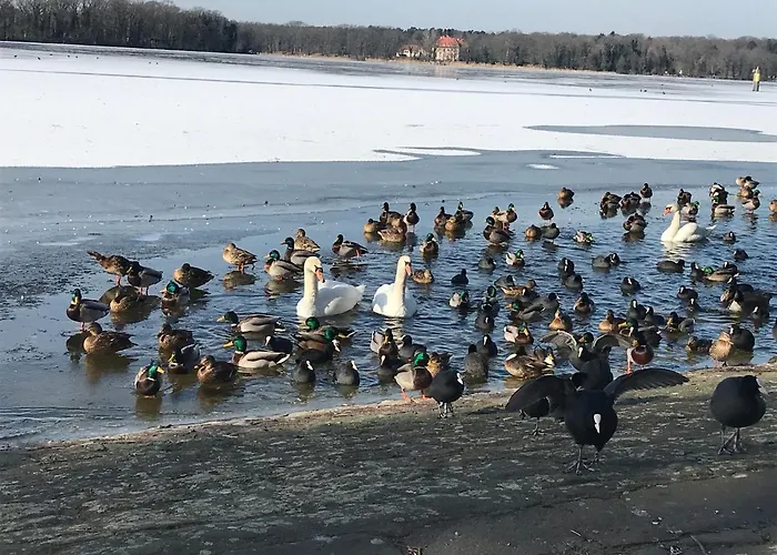 Appartement Klein App In Alt - Tegel